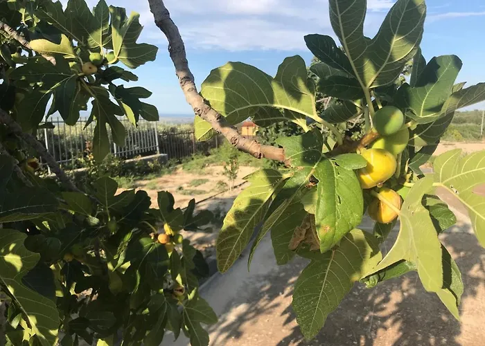 Vecchio Frantoio Spezzano Albanese