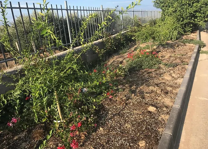 Bed & Breakfast Vecchio Frantoio Spezzano Albanese